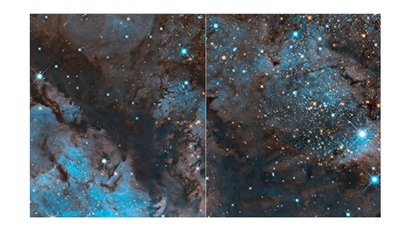 MASMAVİ BİR KUĞU GİBİ: OMEGA NEBULASI