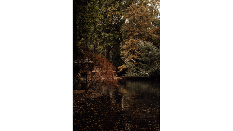 İLHAMLIK POZLAR: SONBAHAR RENKLERİNE KENDİNİ KAPTIRMAK