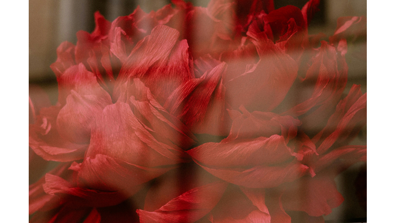 KENDİNİ AFFETME PROBLEMİ: KENDİNİZİN EN KÖTÜ VERSİYONUYLA YÜZLEŞMEK