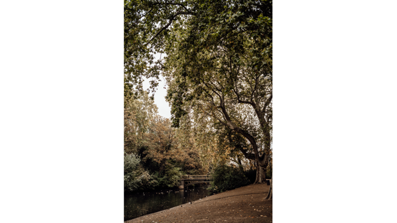 İLHAMLIK POZLAR: SONBAHAR RENKLERİNE KENDİNİ KAPTIRMAK