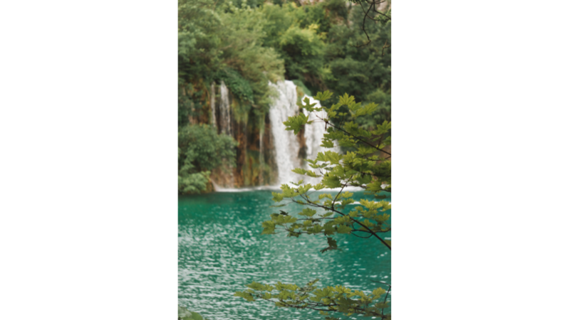 FOTOĞRAF ALBÜMÜ: MAVİ, TURUNCU VE YEŞİL