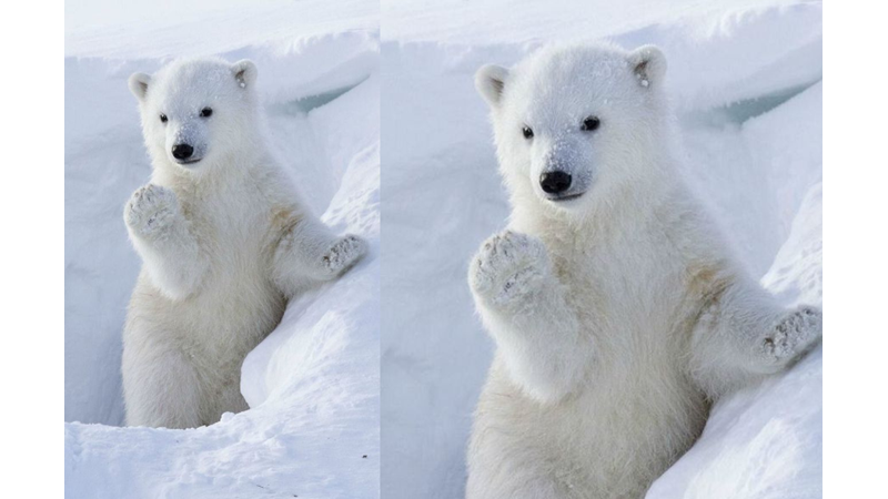 PEMBE FİLİ DÜŞÜNMEYİN!