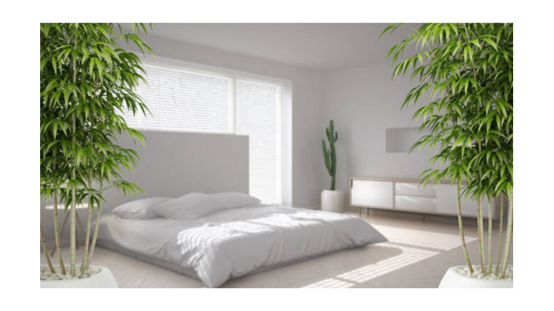 FENG SHUI PRENSİPLERİ