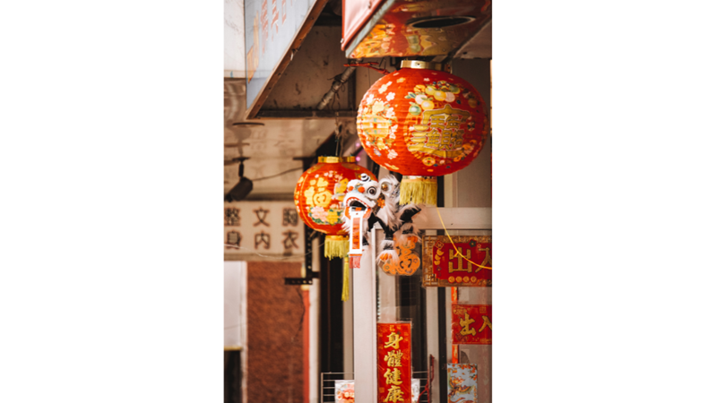 FOTOĞRAF ALBÜMÜ: MAVİ, TURUNCU VE YEŞİL