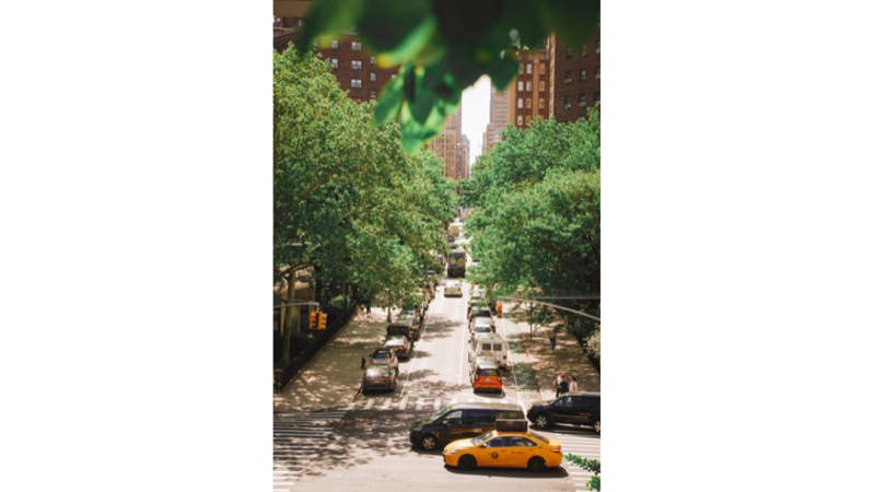 FOTOĞRAF ALBÜMÜ: MAVİ, TURUNCU VE YEŞİL