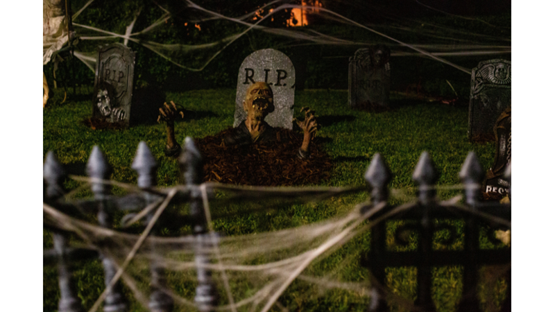 CADILAR BAYRAMI KÖKENİ VE TUHAF GELENEKLERİ