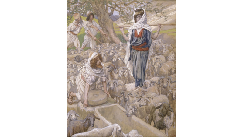 KISKANILAN KIZKARDEŞ: RACHEL