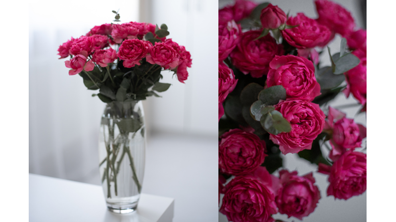 BİRAZ RENK ODANIN HAVASINI NASIL DEĞİŞTİREBİLİR?