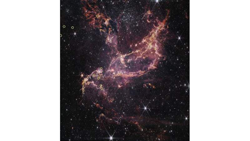 20 YILLIK GİZEME SARILMIŞ BİR BİLMECE