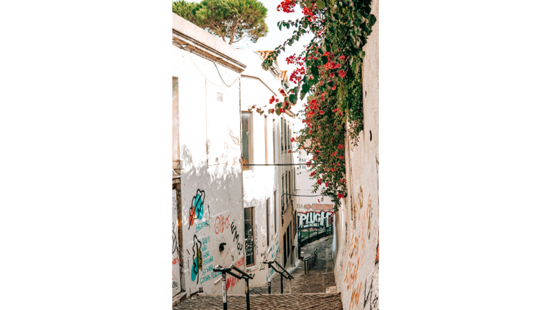 FOTOĞRAF ALBÜMÜ: MAVİ, TURUNCU VE YEŞİL