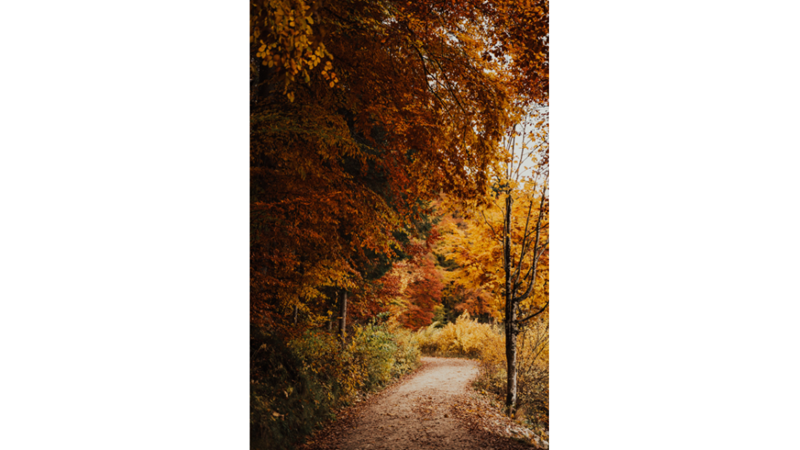 İLHAMLIK POZLAR: SONBAHAR RENKLERİNE KENDİNİ KAPTIRMAK