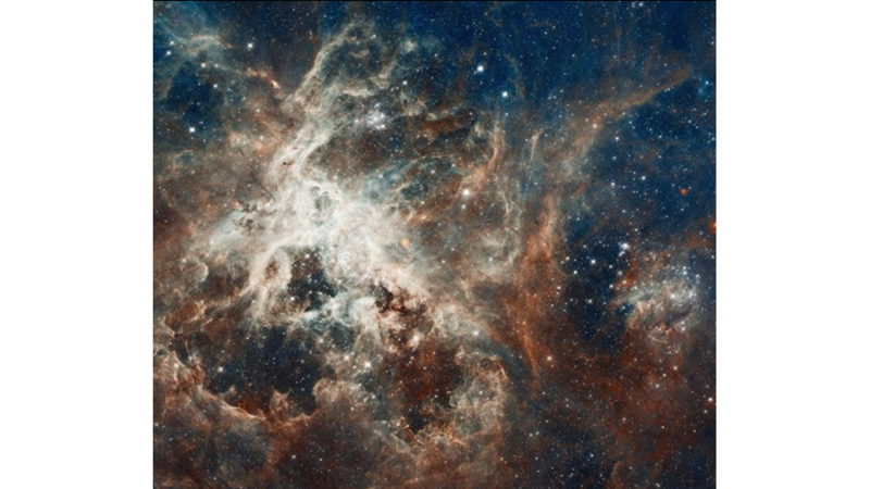 THE ONLY SPIDER WE'LL EVER WANT TO SEE: TARANTULA NEBULA