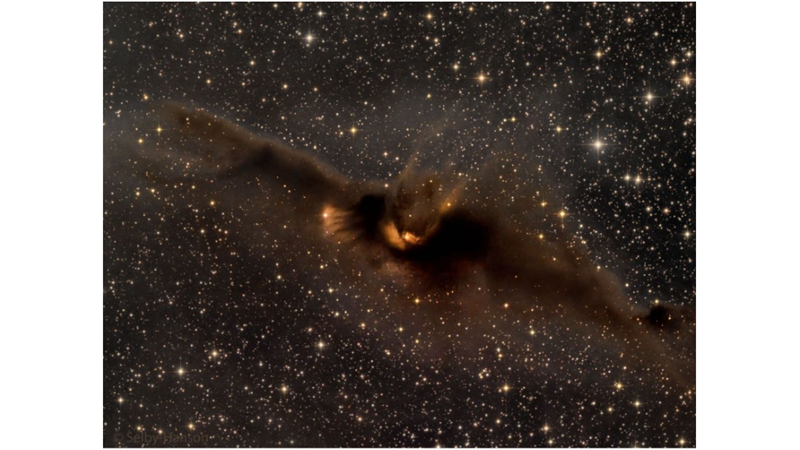 COSMIC BAT NEBULA: LDN 43