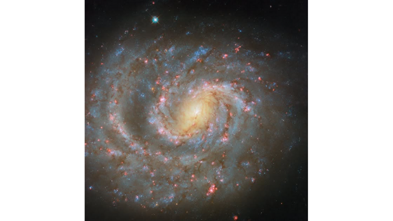 GÖKSEL NEHİR: NGC 1637
