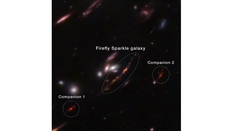 A BLACKBIRD IN THE NIGHT: THE FIREFLY GLOW GALAXY