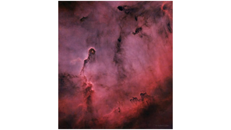 İLLÜSTRASYON GİBİ: FİL HORTUMU BULUTSUSU