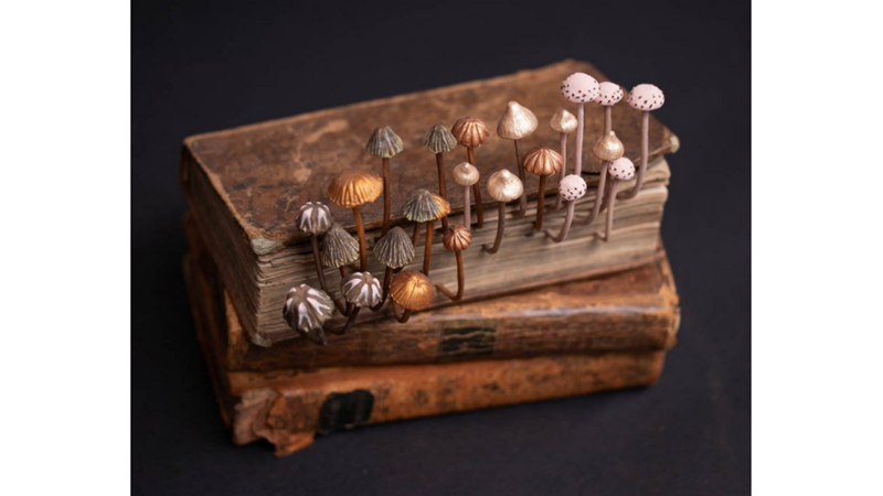 STEPHANIE KILGAST’TAN YŞAYAN KİTAPLAR