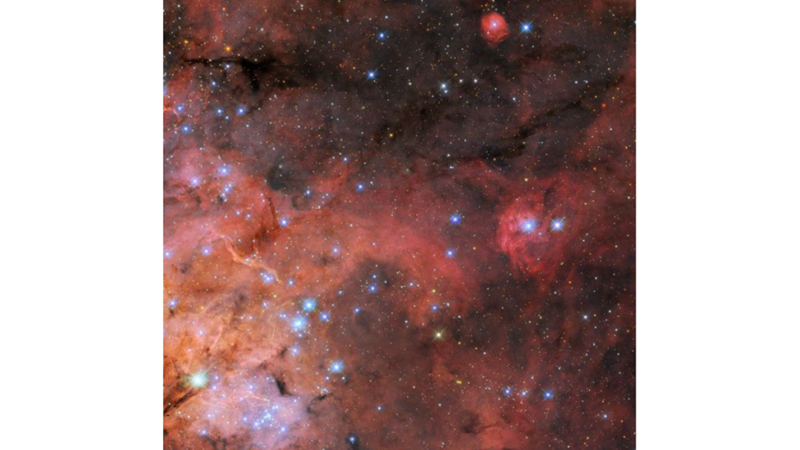 THE ONLY SPIDER WE'LL EVER WANT TO SEE: TARANTULA NEBULA