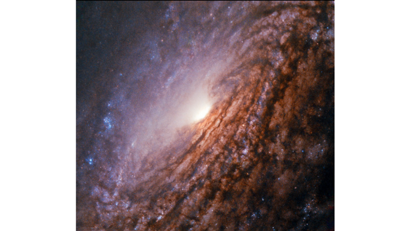 SHINE BRIGHT NGC 5033