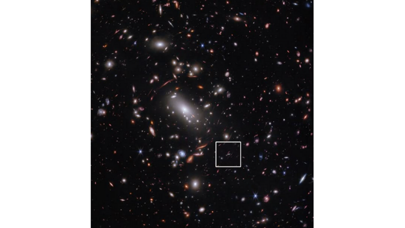 A BLACKBIRD IN THE NIGHT: THE FIREFLY GLOW GALAXY