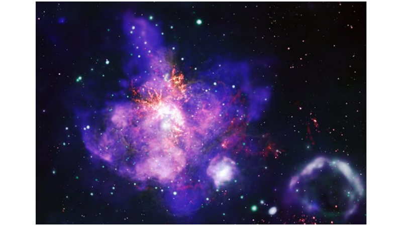 FLOWERS FOR YOU FROM THE UNIVERSE: 30 DORADUS