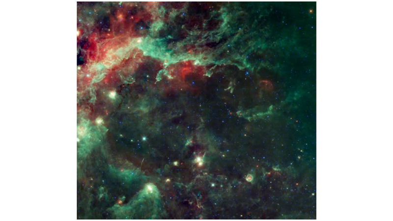 STARS HATCHING FROM EGGS