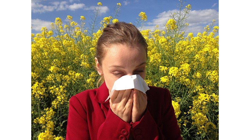 Alerjik Reaksiyonların Dışsal Etkileri