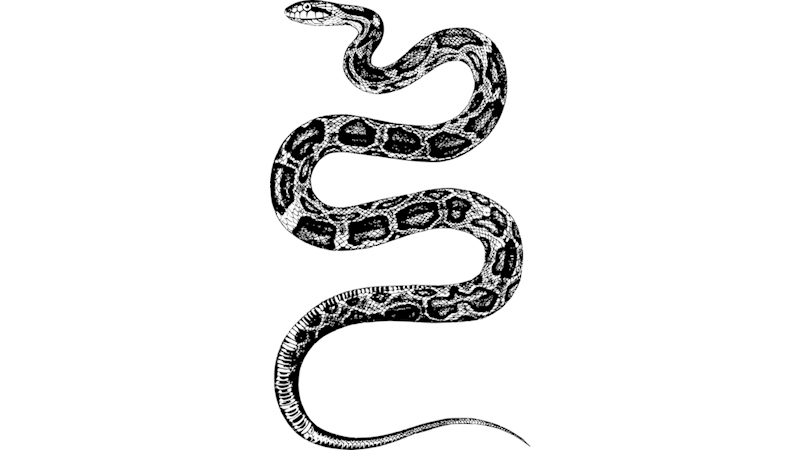 Kültürel İnanç Sembolü: Yılan (XXI)