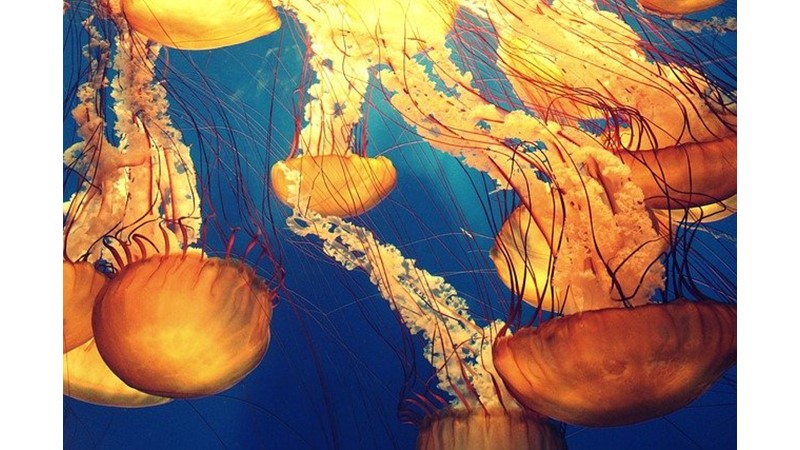 Başarılı Olmak İçin Bırak