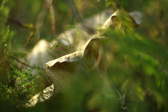 İşin Doğasını Kavrayamamak