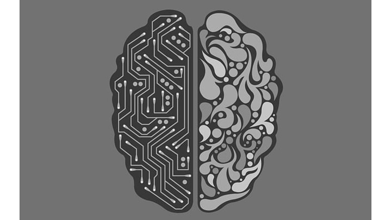 Gelişimin Hissi Beyin Etkisi