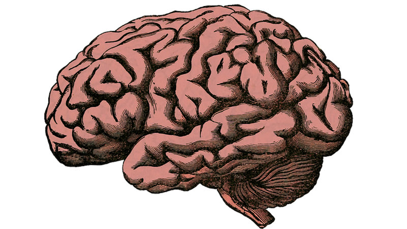 Bir Bilginin Sürekli Tekrarlanması