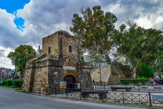 Osmanlı'da Divan İşleri