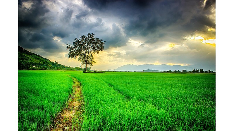 Uyku Bozukluğunun Temeli