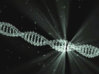 DNA'nın Gizemi