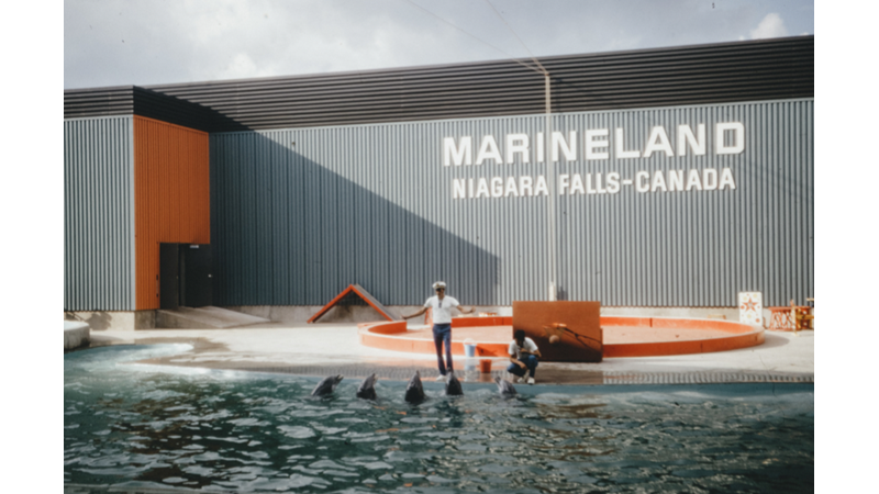 ESKİ ALBÜMLERİ KARIŞTIRIYORUZ: KANADA (II)