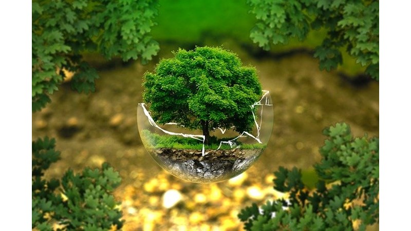 Hayatı Kaçırdın Mı?