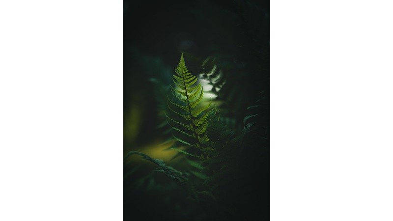 Gaslighting Örnekleri (III)