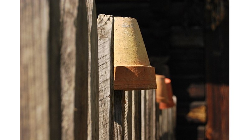 Şaşırtmaya Geldik