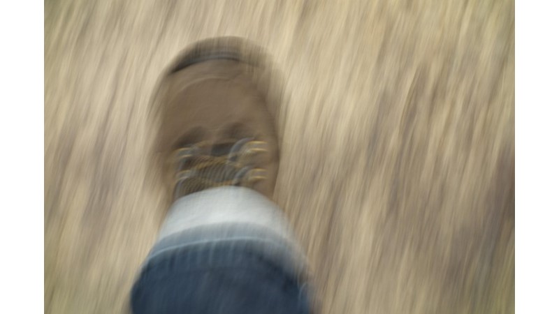 Takıntı ve Biyokimya