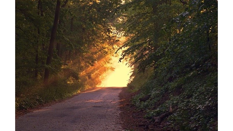 Sosyal Algıların Korkusu