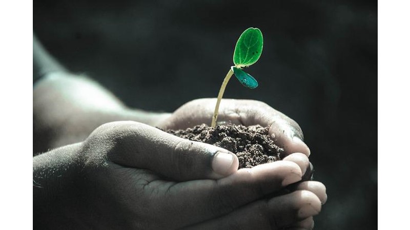 Hayatı Kaçırdın Mı?