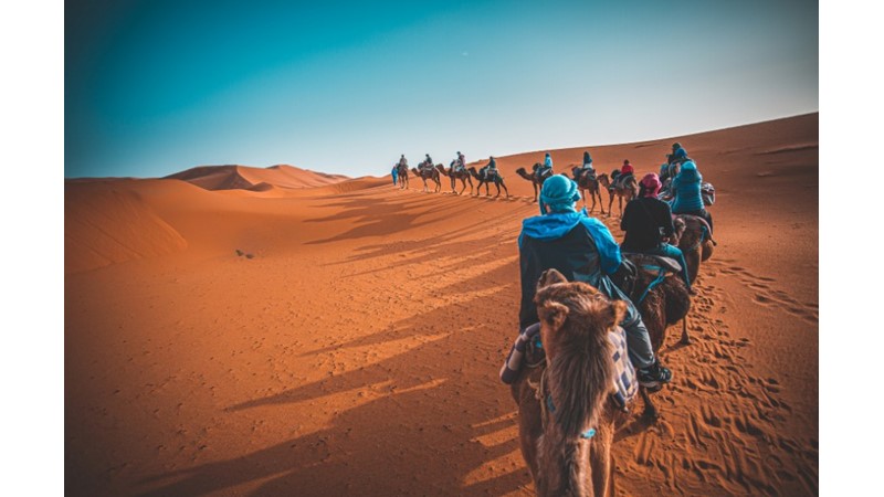 Her Milletin Kendine Has Uzmanlığı