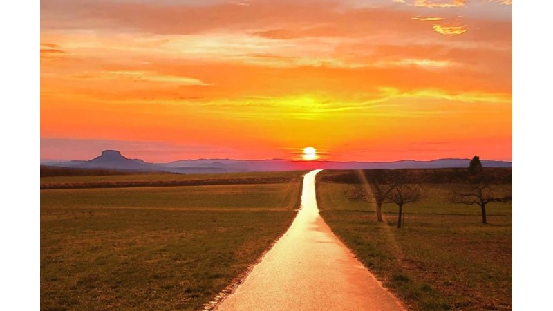 İnsanlığın Kaçamadığı Yol