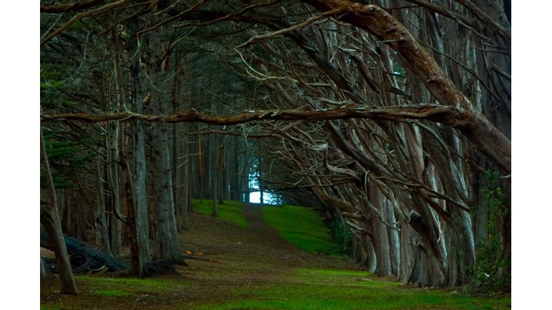 Bugünün Hikayeleri