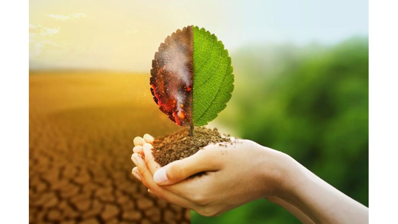 İnsan ve Değişimi