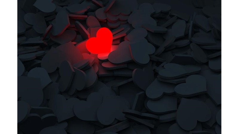 Sevginin Muhtemel Kaynağı