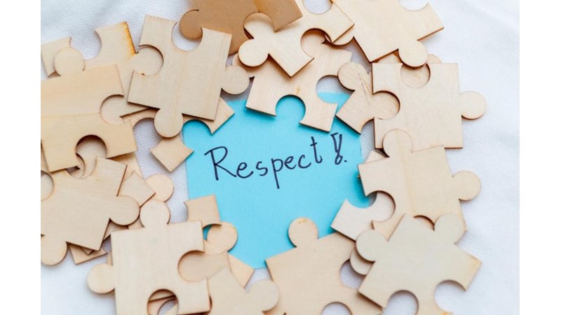 İş ile Kazanılan Saygınlık