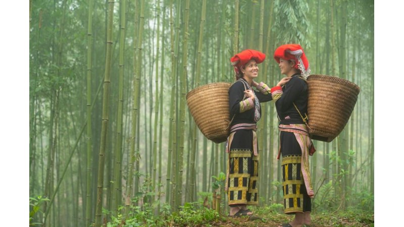 Azınlığın Harika Yaşamı