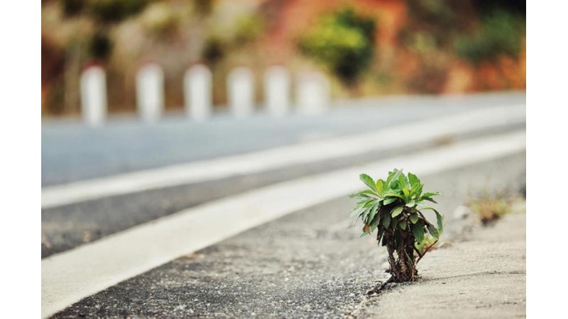 İnsanın Hayali Sınırları